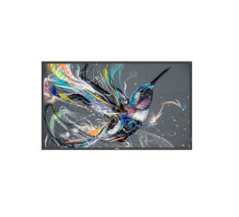 PHILIPS- Afficheur professionnel 32" 32BDL3511Q/00