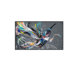 PHILIPS- Afficheur professionnel 55" 55BDL3511Q/00