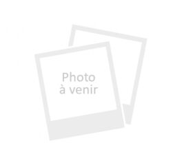 PHILIPS Dictaphone VoiceTracer DVT1120: Optimisé pour les notes, 8Go, Mono, Gris